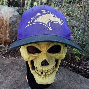 Vintage STARTER St. Louis Stallions Two Tone Snap Back Hat